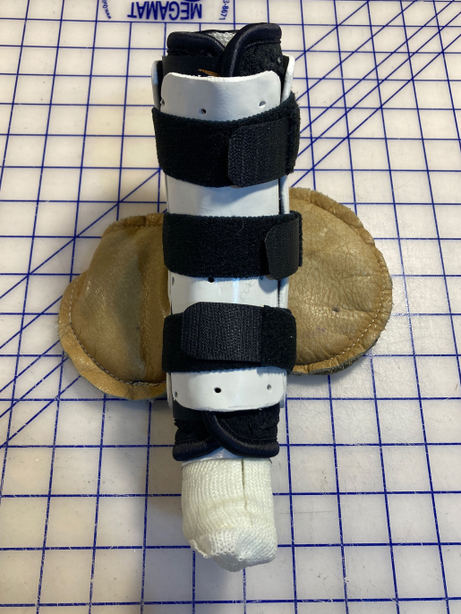 Tarsal Support