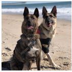 Brando and Arlo